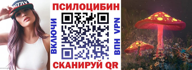 Псилоцибиновые грибы Magic Shrooms  где купить наркотик  Верхнеуральск 
